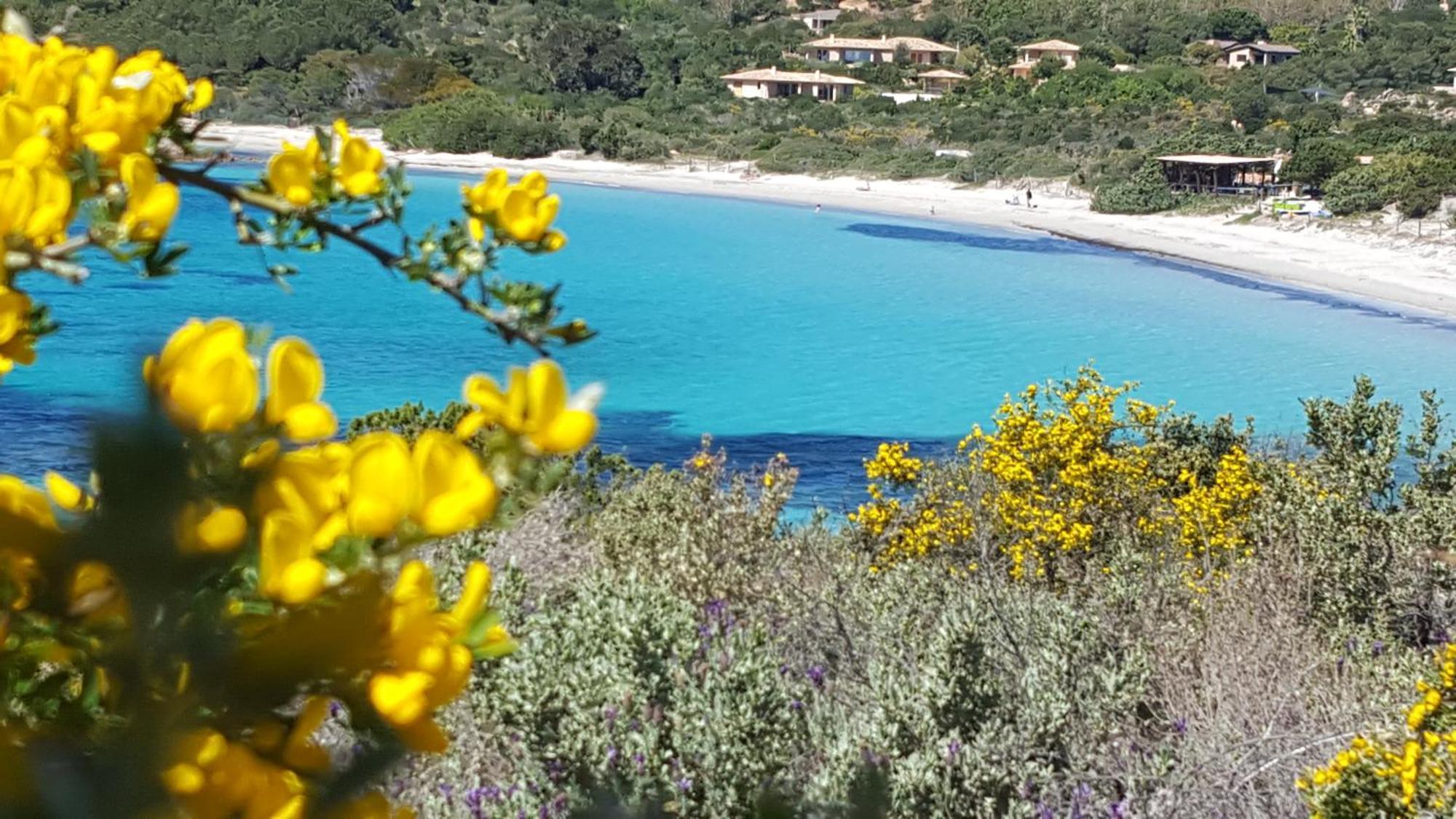 Locations Residence Rocca Rossa Palombaggia Classees 3 Etoiles Porto-Vecchio  Exterior photo
